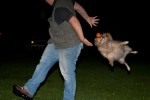 HundeTraining01 Nur um Missverständnisse zu vermeiden: dieses Bild entstand NACH dem Training und gehört zum Spiel dazu!
